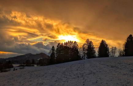 Ferienwohnung Wallner Rosi - Foto 18