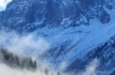 Petite Floria - Foto 16