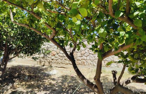 Panormitis House Semi-basement apartment - Foto 18