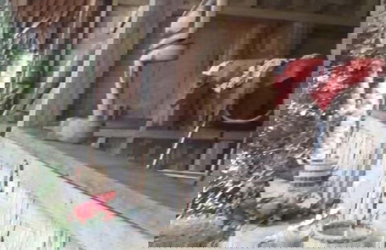 Mahun on the Lagoon Bungalows - Photo 21