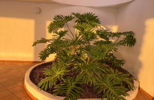 Apartament Sunrise - Foto 52