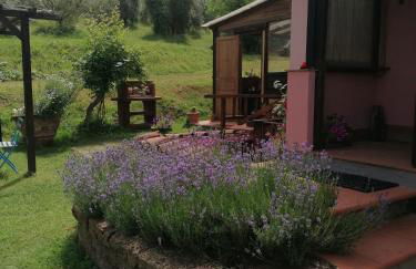 Agriturismo Campolungo - Foto 8