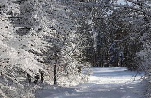 Blockhaus am Edersee - Foto 34