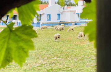 Monte do Lago, Pegões - Foto 62