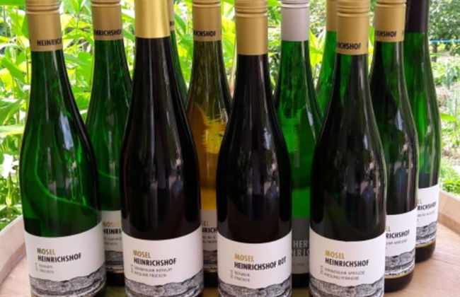 Weinvilla Heinrichshof - Foto 26