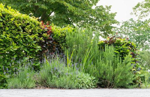 Huus de Freese 35224 - Foto 10