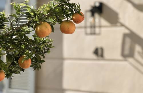 Sweet Menaggio - Foto 10