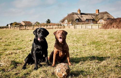 Moors Wood Relaxing ,Tranquil retreat with Hot Tub - Foto 21