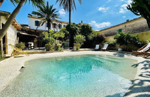 León de Sineu - Foto 5