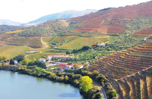 Douro Yacht Charter & Bungalows - Foto 35