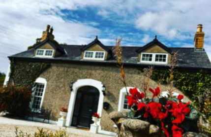 Oak field Cottages Belfast open plan studio stunning & tranquil - Foto 25