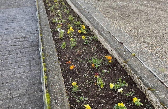 Búlandshöfði family paradise - Foto 17