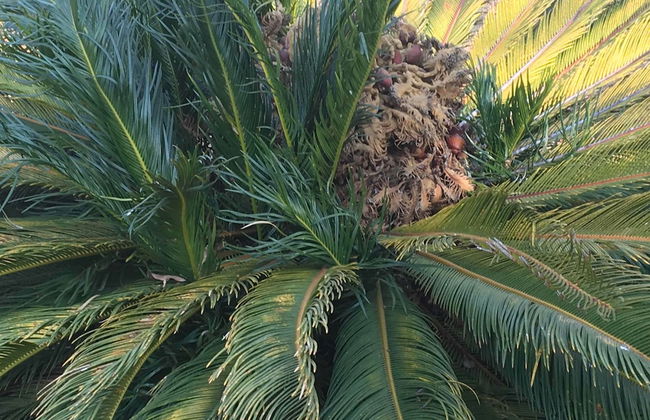 2 Bedroom Executive & Holiday Suburban Home - Foto 33