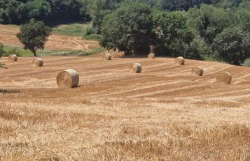 Agriturismo La Corte Sul Lago - Foto 20