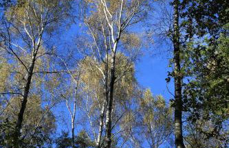 Apartament Góry i Potok - Foto 43