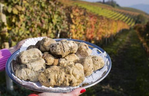 Casa Nicola - Photo 35