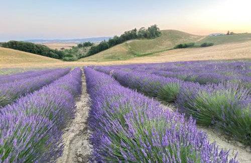 Le case della baracchina - Foto 3