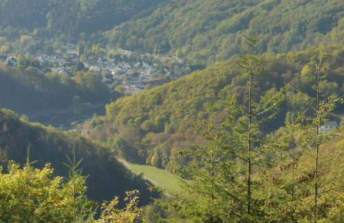 Apartment Chalet Wiedfluh in Waldbreitbach by Interhome - Foto 36
