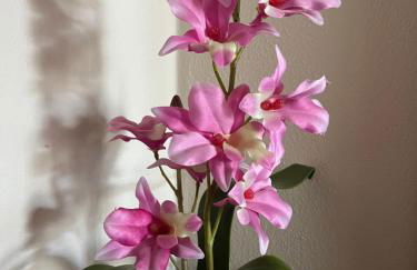 Agriturismo IL VIAIO - Foto 85