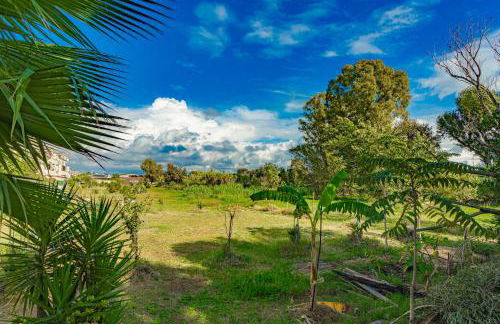 Oasi del geco - Foto 8