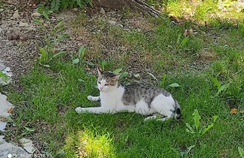 Vacation house Palma - Photo 19