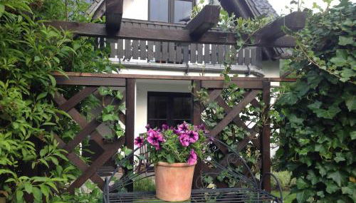 Haus Kollwitzweg - Ferienwohnungen - Foto 5, Garden