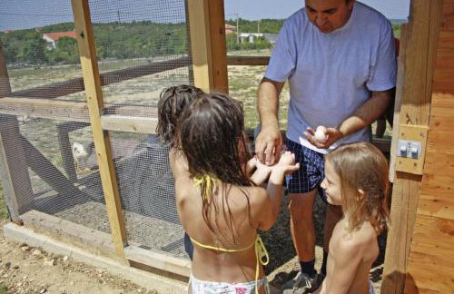 Maslina in Popovići (Haus für 5-7 Personen) - Photo 52