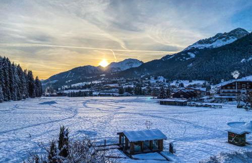 Cesa Bernard - Apartment Cima 12 e new Apartment Fraine - Foto 39