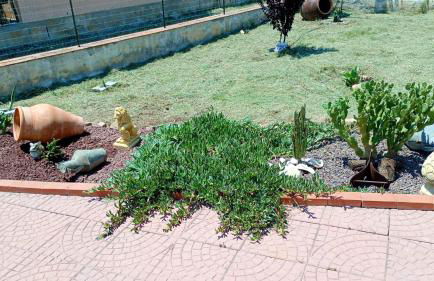 Villa House of William - Foto 24