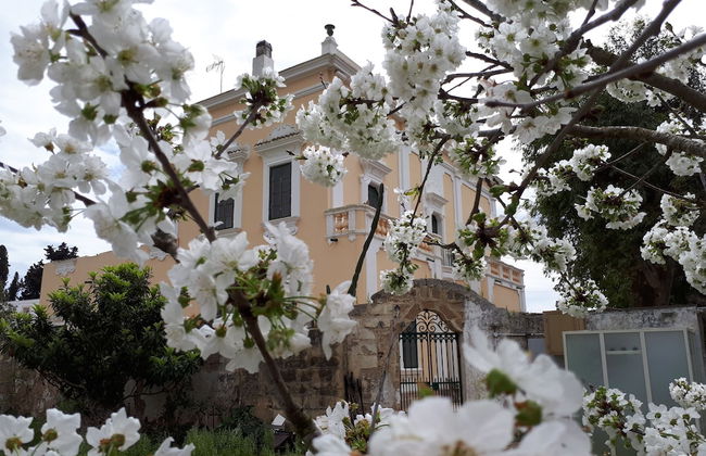 Villa Teseo - Photo 1