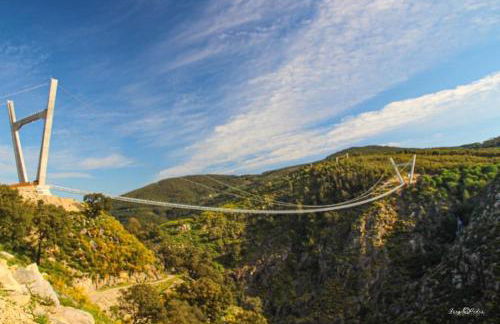 Quinta da Vinha do Souto - Foto 36