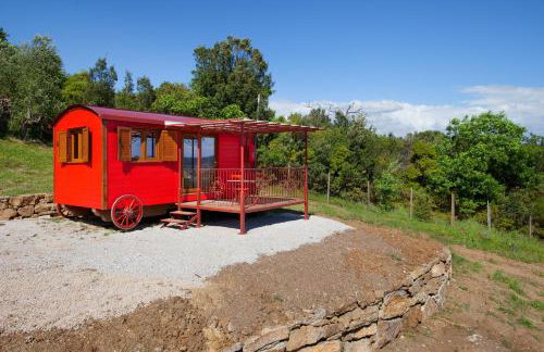 Poggio Diavolino - Suvereto - Foto 47