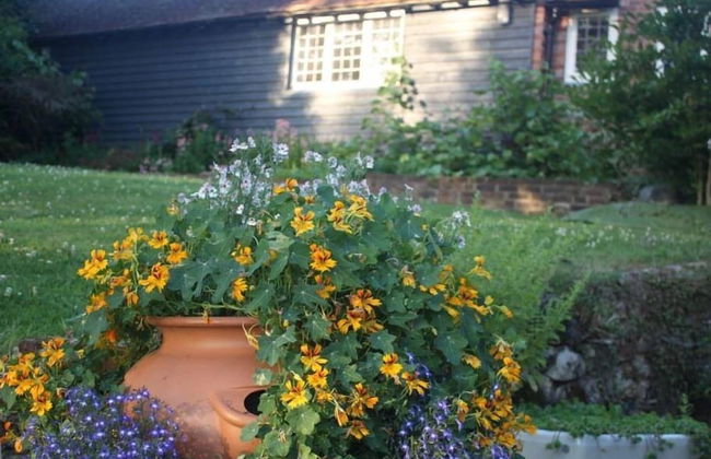 Oak House Farm - Foto 16