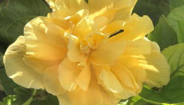 La casetta di Giò - Foto 3, Garden