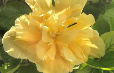 La casetta di Giò - Foto 3