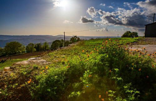 Appartement charmant à Saint-Côme-d'Olt - 80 m² avec balconc - Photo 26