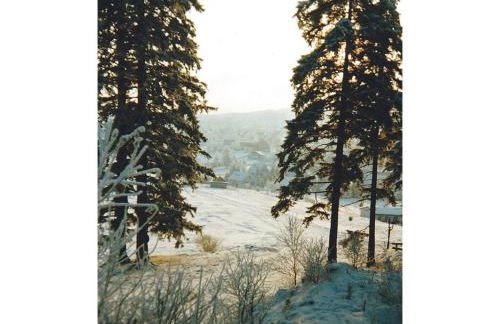 Family Theermann - Foto 32