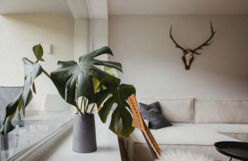 Schwarzwald Loft Panoramablick Menzenschwand - Foto 24