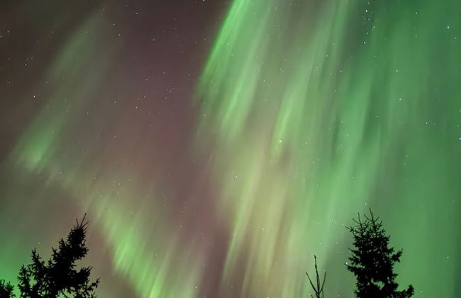 Arctic Resort Delight - Foto 31