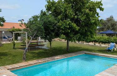 Monte das Aranhas - Foto 19