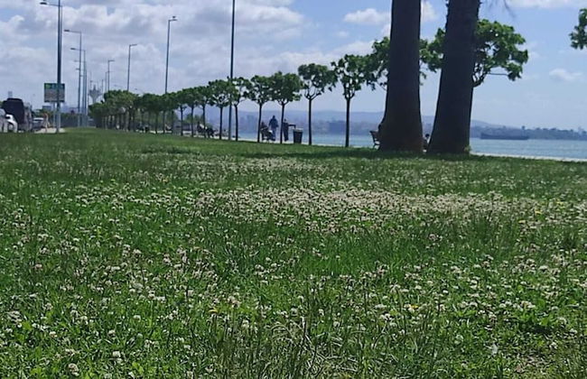 fafsuitehome - Foto 13