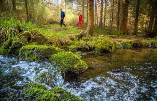 Haus Hubertus - Photo 30