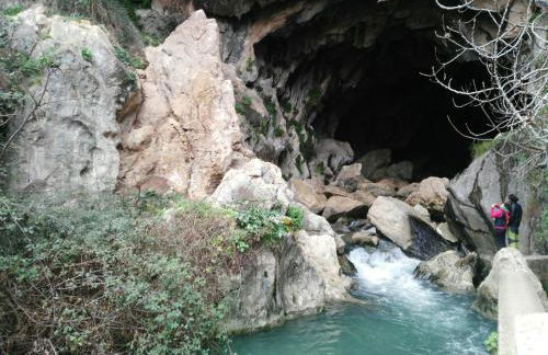 Casa Rural las Rosas de Benaojan - Photo 70