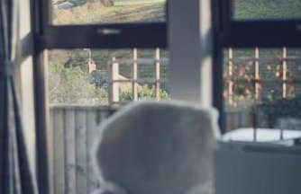 Escape Pod in Devon, 5 mins from beach + parking - Foto 53