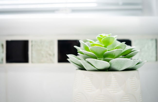 Red Cherry House - Photo 35