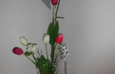 Ferienhaus Kiesel - Foto 49