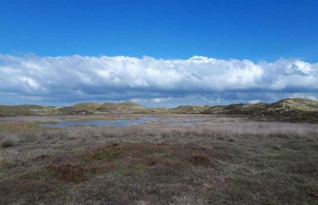 Beautiful Detached Holiday Home in Park - Foto 43