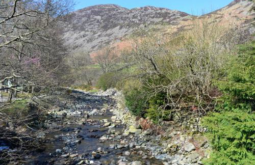 Rattlebeck Cottage - Foto 20