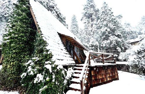 Clarity Cabin A-Frame Sanctuary w Hot Tub Fireplace Grill AC Hammock Chairs Fire Pit Pets OK - Foto 43