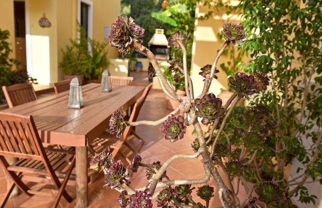 Olive Farm - Foto 41